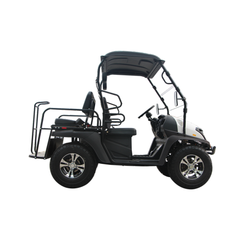 Chariot de golf électrique UTV EEC à 5 kW